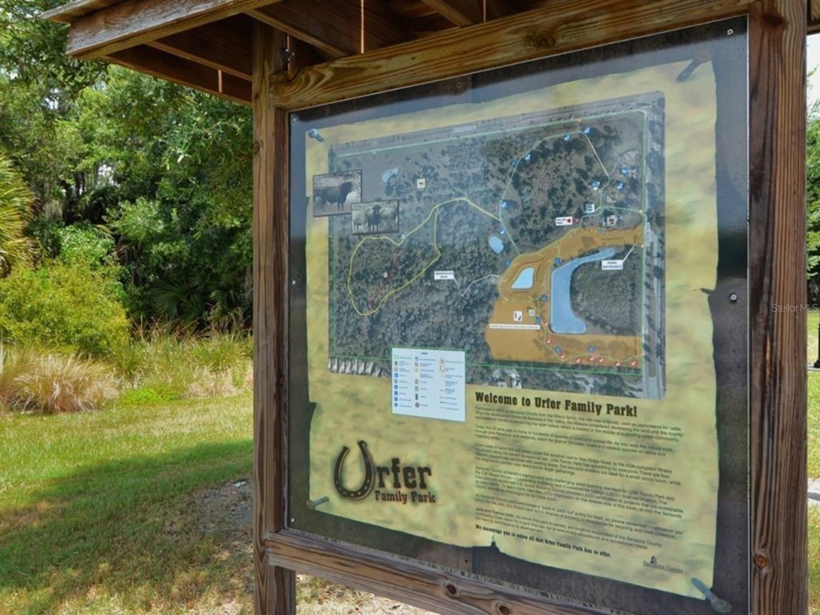 7919 Limestone Lane #13-204 Sarasota FL 34233 A4684105 image80