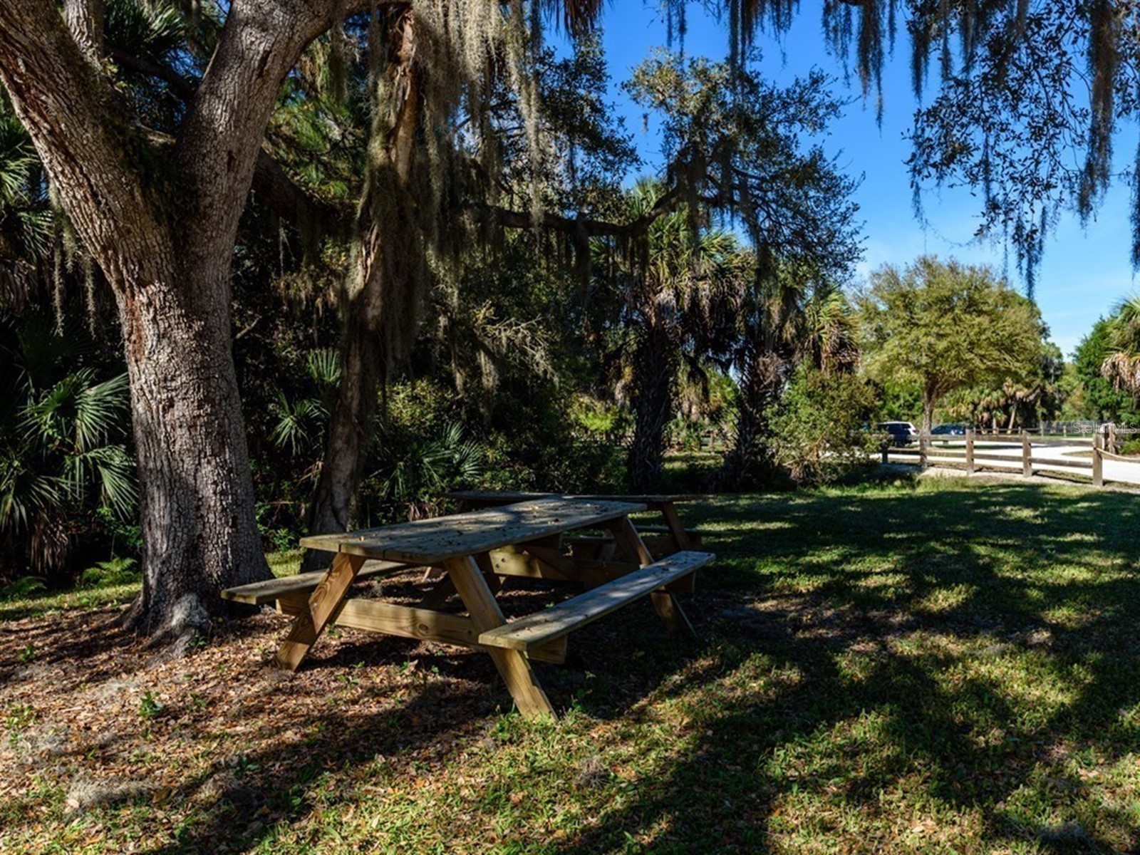 7919 Limestone Lane #13-204 Sarasota FL 34233 A4684105 image94