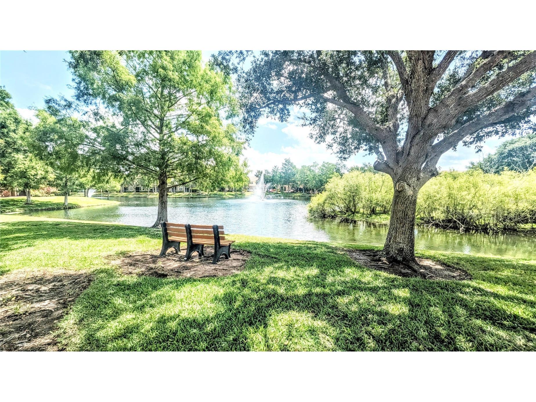 7919 Limestone Lane #13-204 Sarasota FL 34233 A4695902 image24