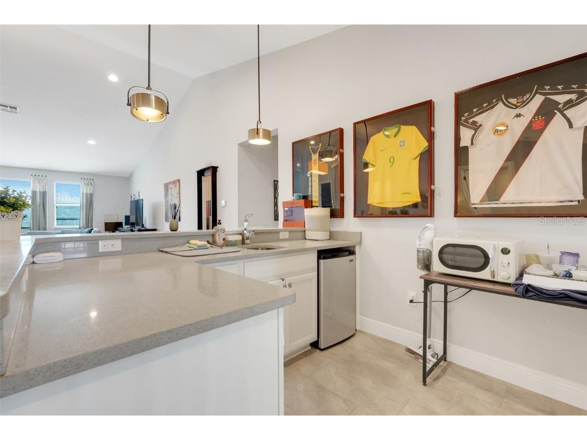 7920 Chilton Drive Orlando FL 32836 O6315189 image32