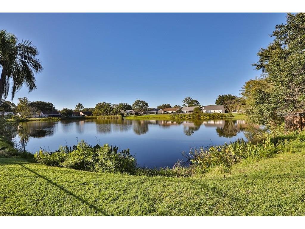 7920 George Washington Lane Tampa FL 33637 TB8466029 image6