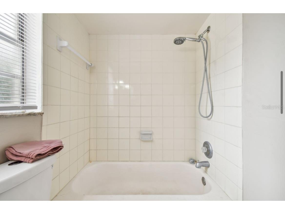 7920 N Marks Street Tampa FL 33604 TB8398249 image39