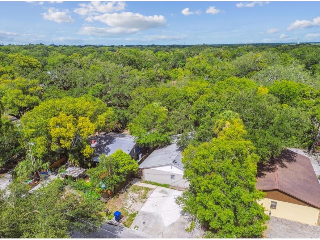 7920 N Marks Street Tampa FL 33604 TB8398249 image54