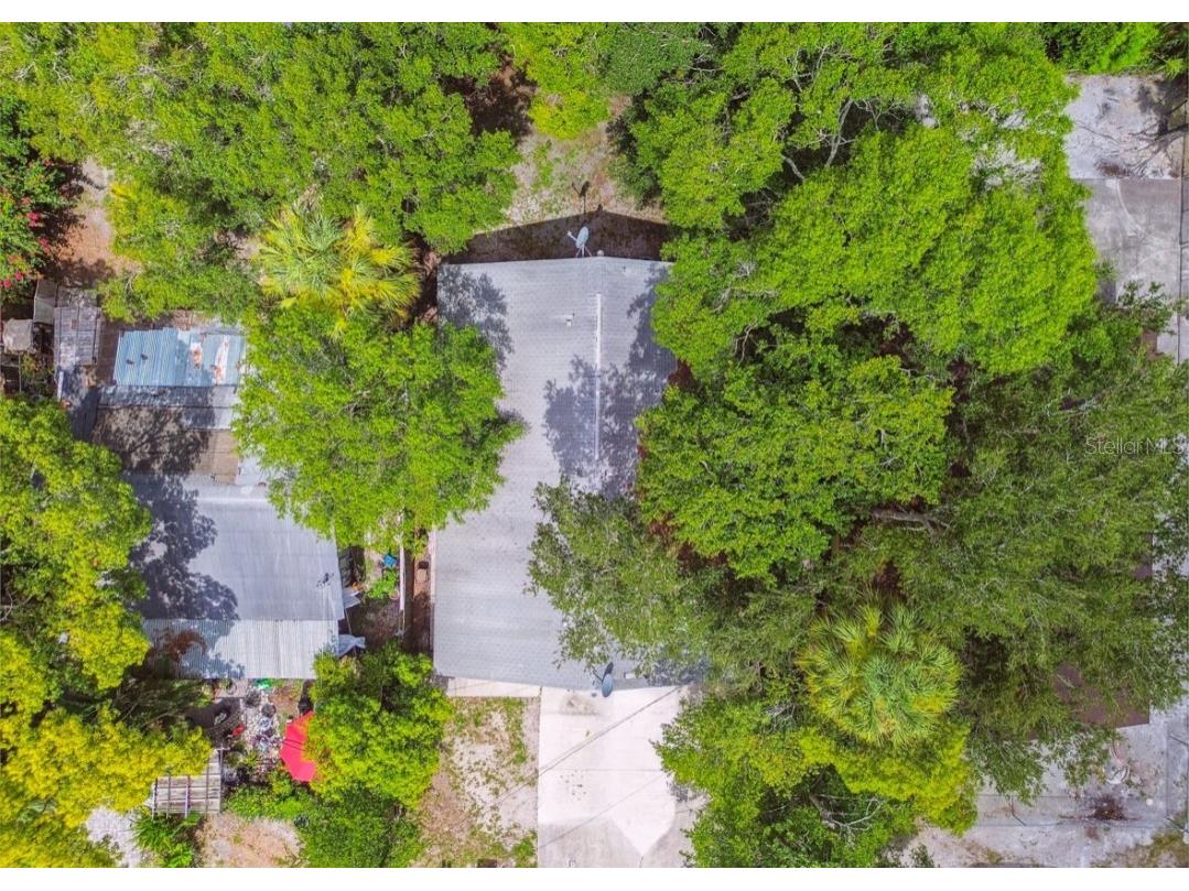 7920 N Marks Street Tampa FL 33604 TB8398249 image56