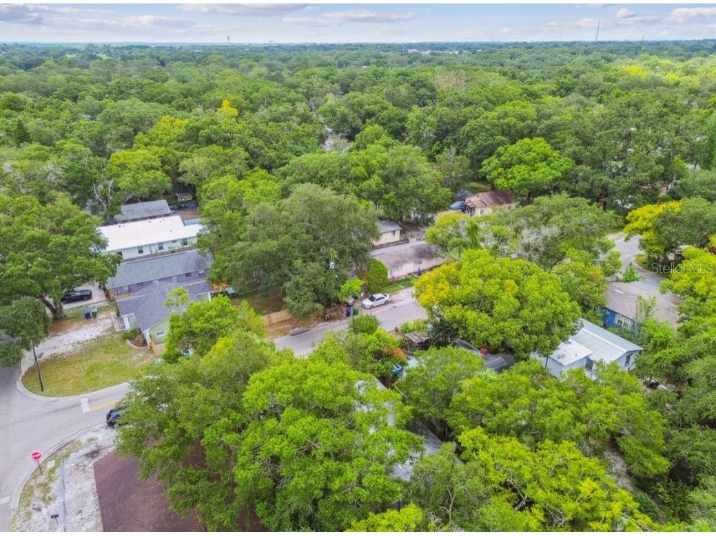 7920 N Marks Street Tampa FL 33604 TB8398249 image57