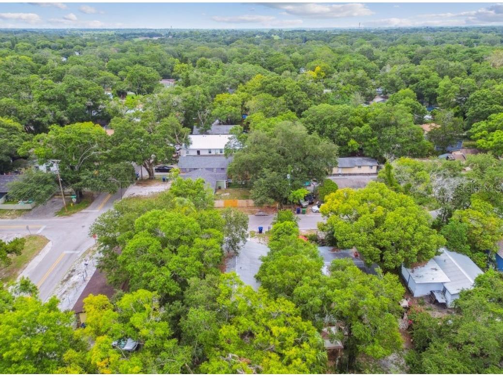 7920 N Marks Street Tampa FL 33604 TB8398249 image58