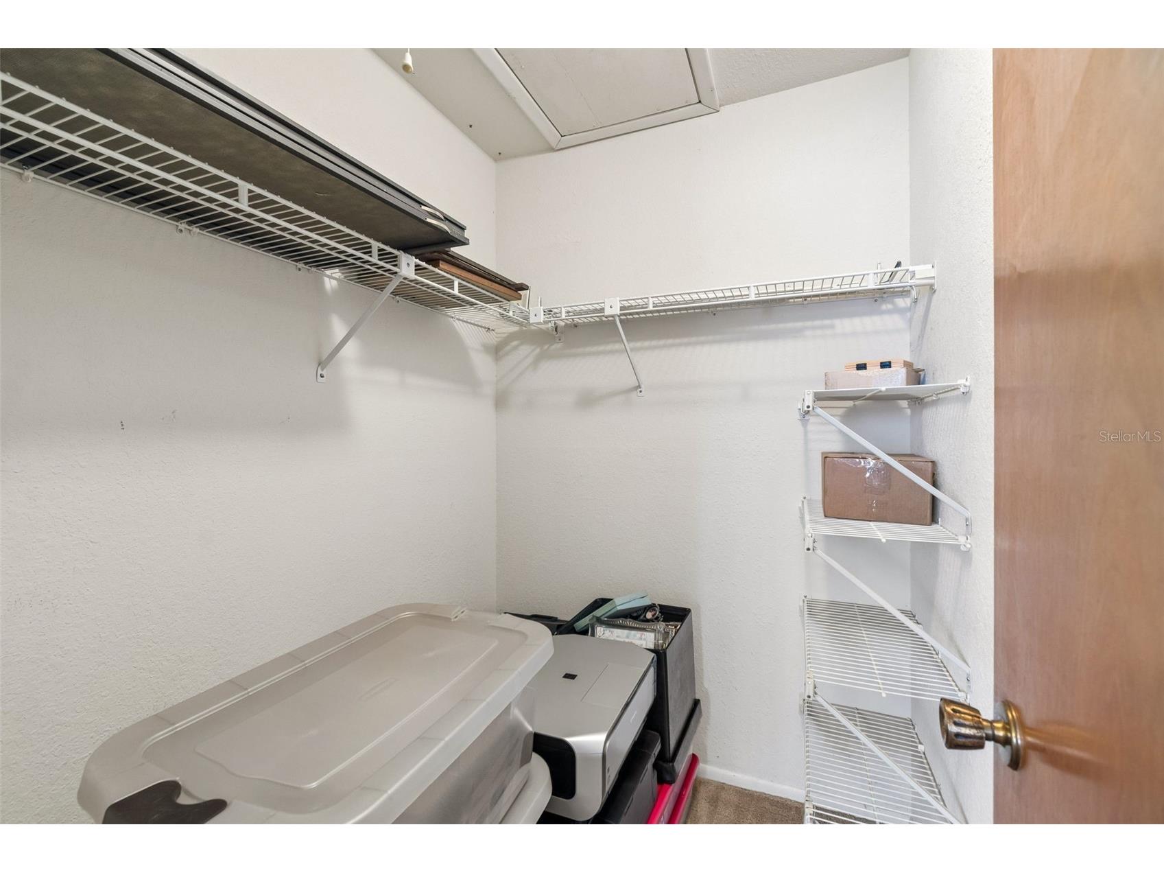 7920 Radcliffe Circle Port Richey FL 34668 TB8497843 image33