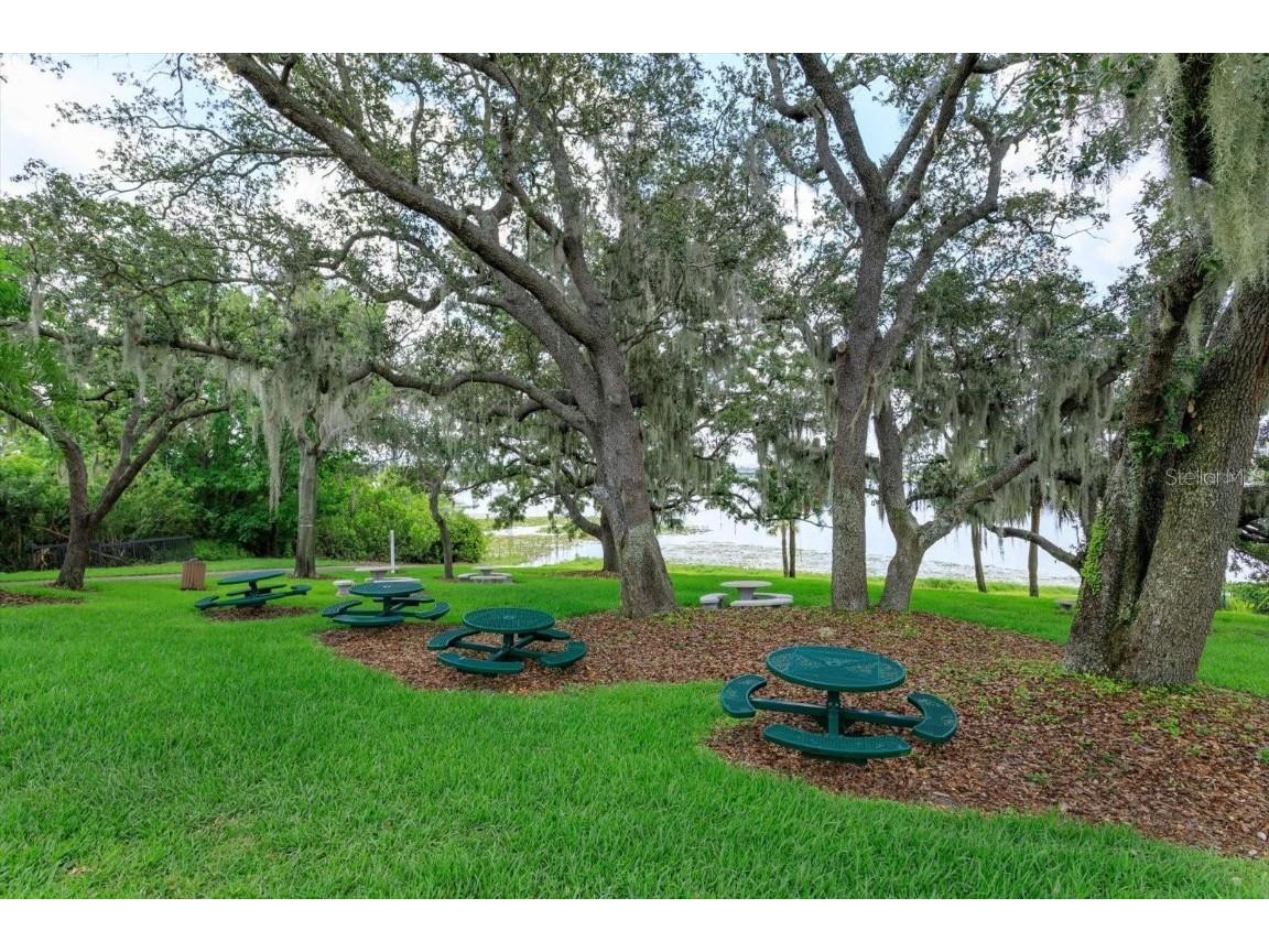 7920 S Marbella Court Orlando FL 32836 - Little Sand Lake O6350570 image17