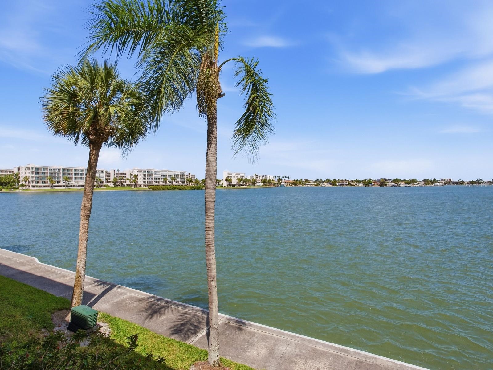 7920 Sun Island Drive S #202 South Pasadena FL 33707 TB8512906 image16