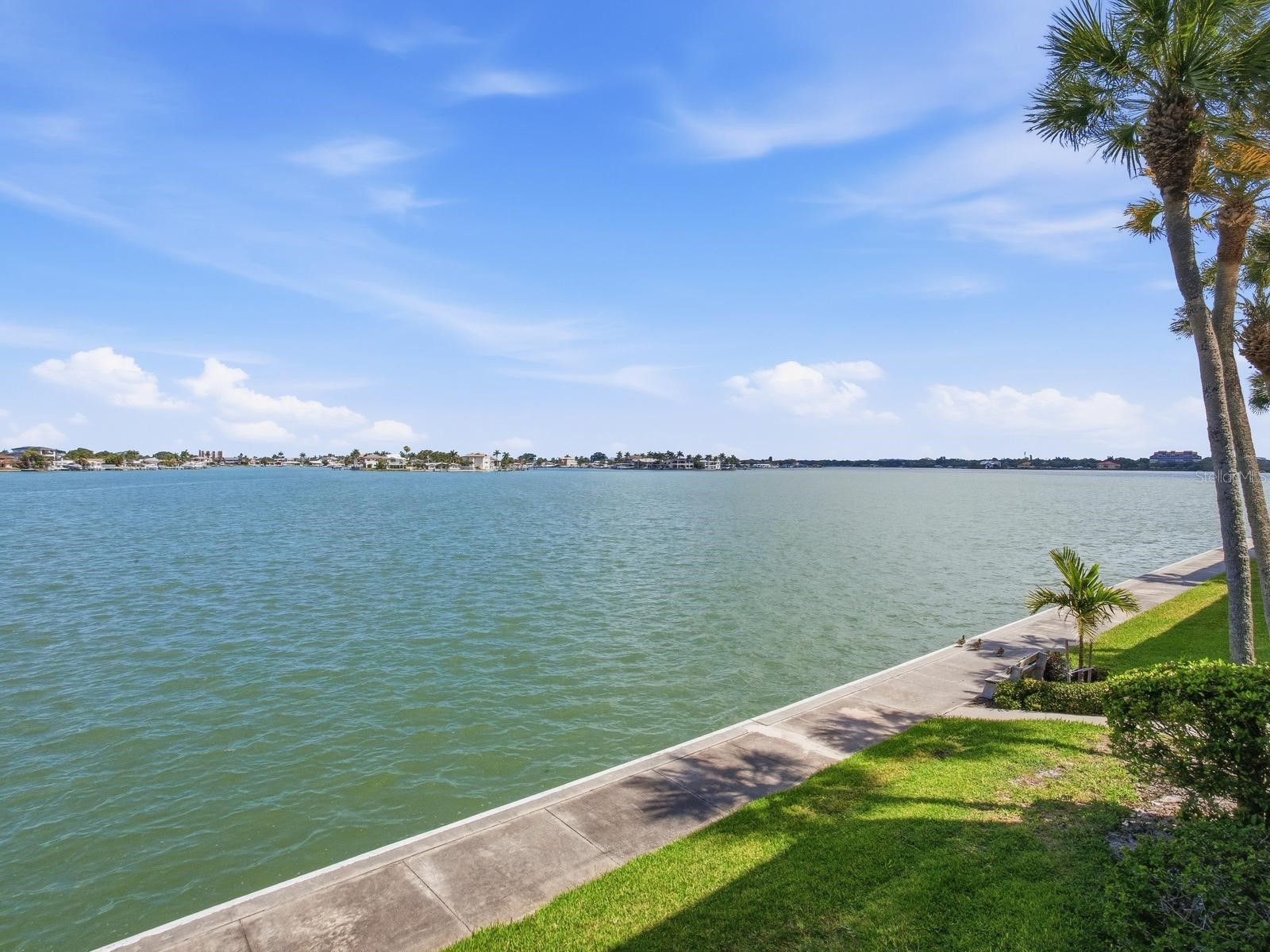 7920 Sun Island Drive S #202 South Pasadena FL 33707 TB8512906 image26