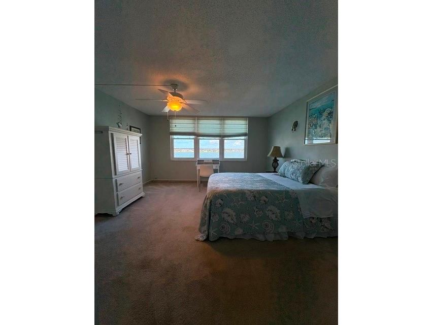 7920 Sun Island Drive S #205 South Pasadena FL 33707 TB8513718 image9