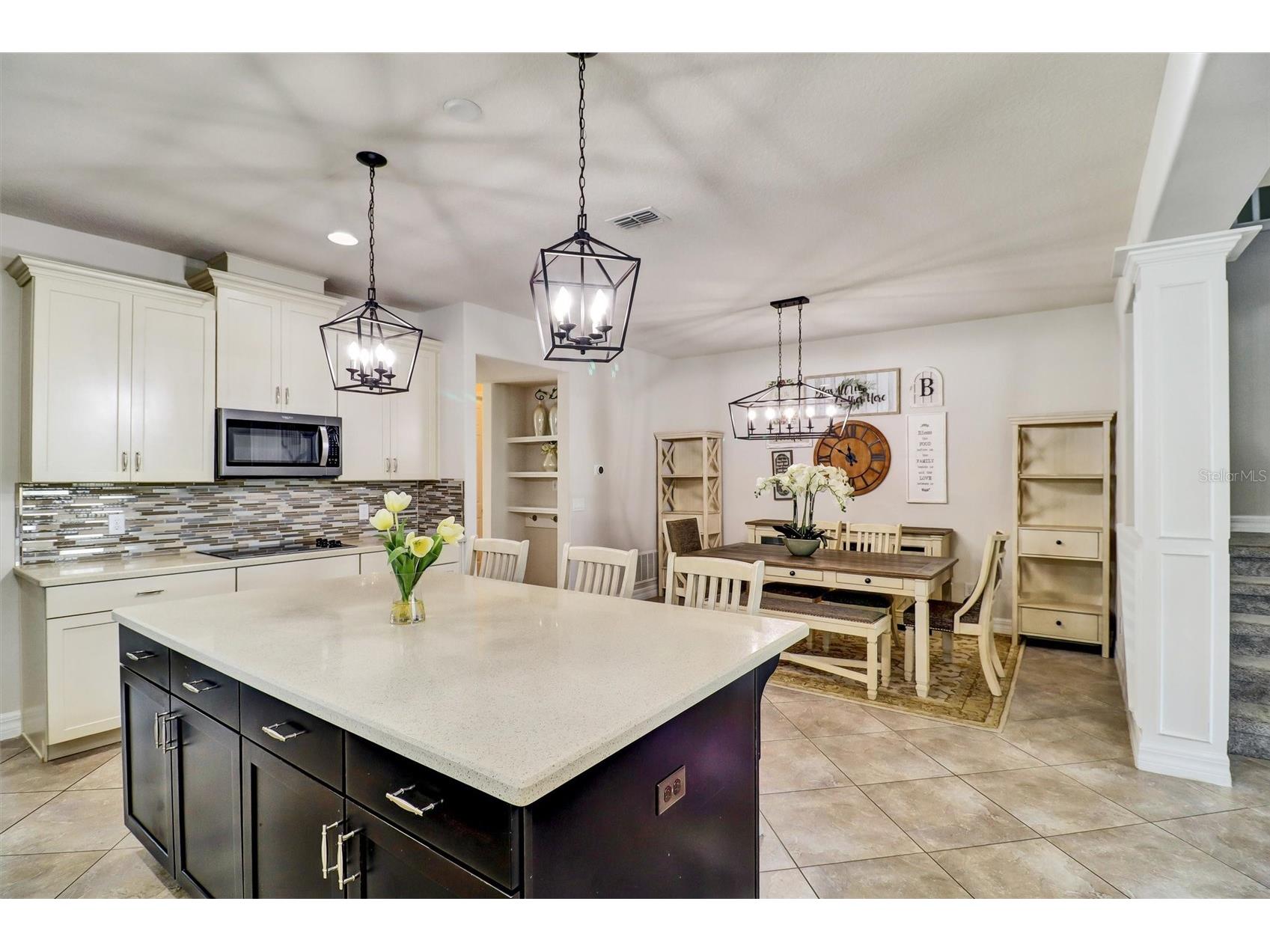 7921 Corkfield Avenue Orlando FL 32832 S5144043 image13