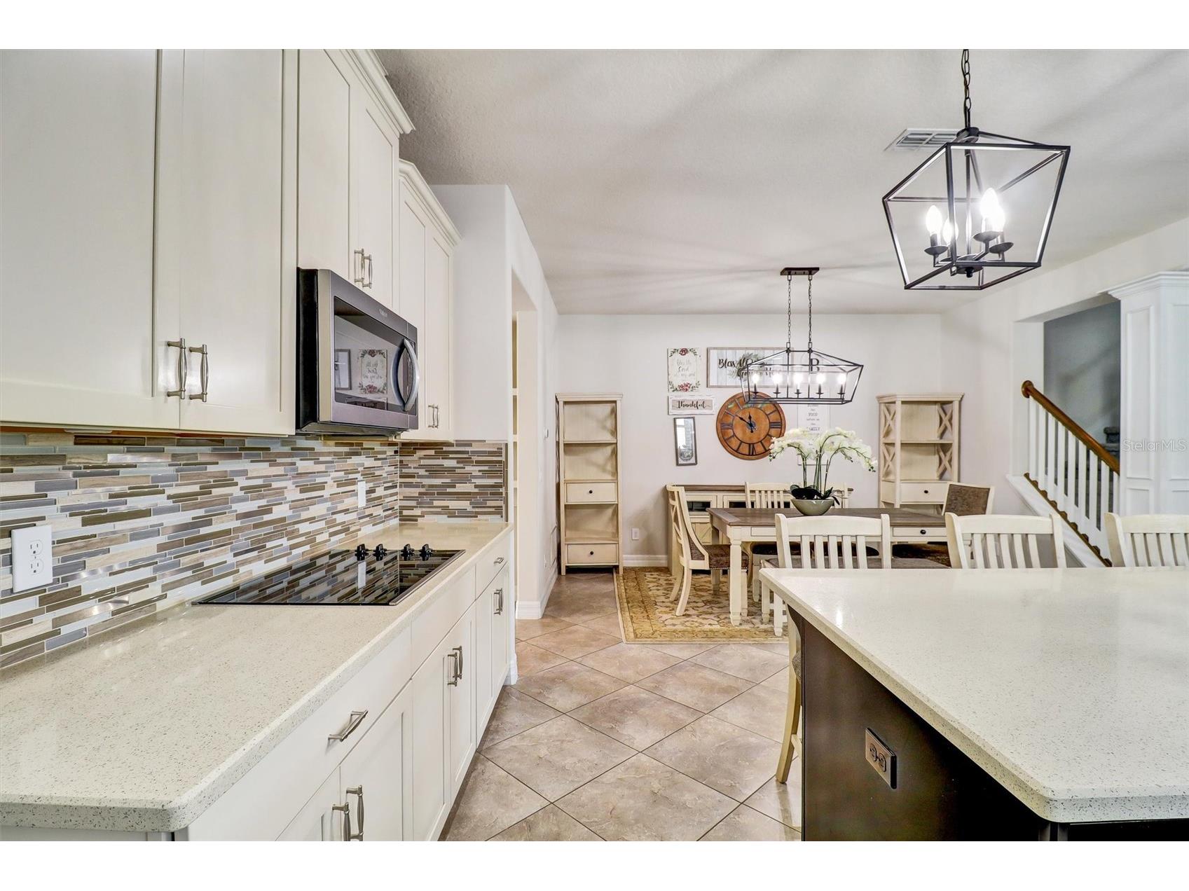 7921 Corkfield Avenue Orlando FL 32832 S5144043 image16