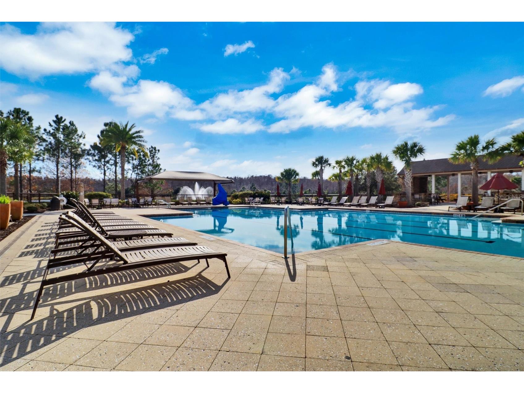 7921 Corkfield Avenue Orlando FL 32832 S5144043 image75