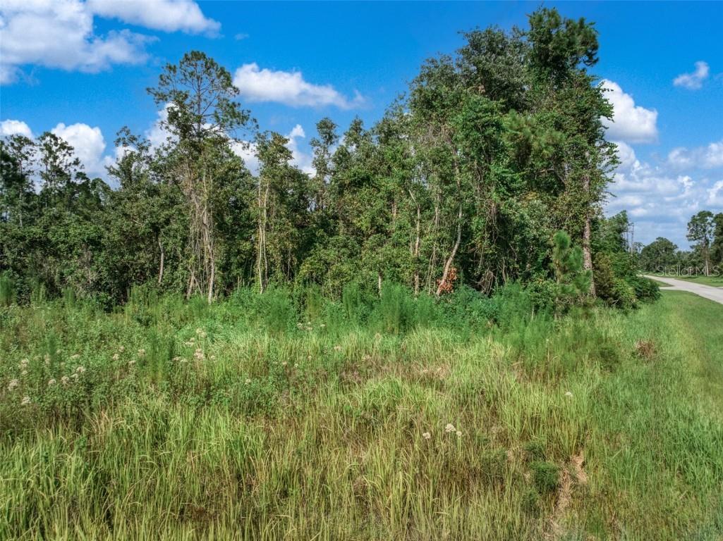 7922 Bernal Drive Sebring FL 33872 P4935764 image10