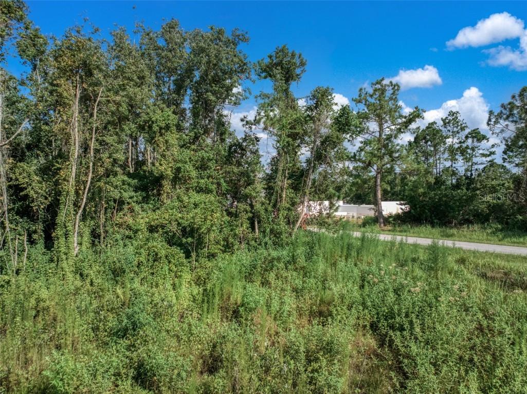 7922 Bernal Drive Sebring FL 33872 P4935764 image8