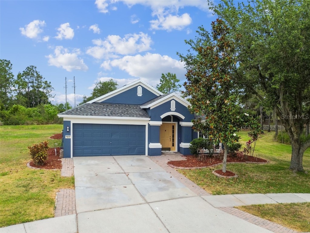 7923 Blackhill Street Wesley Chapel FL 33544 T3523366 image1