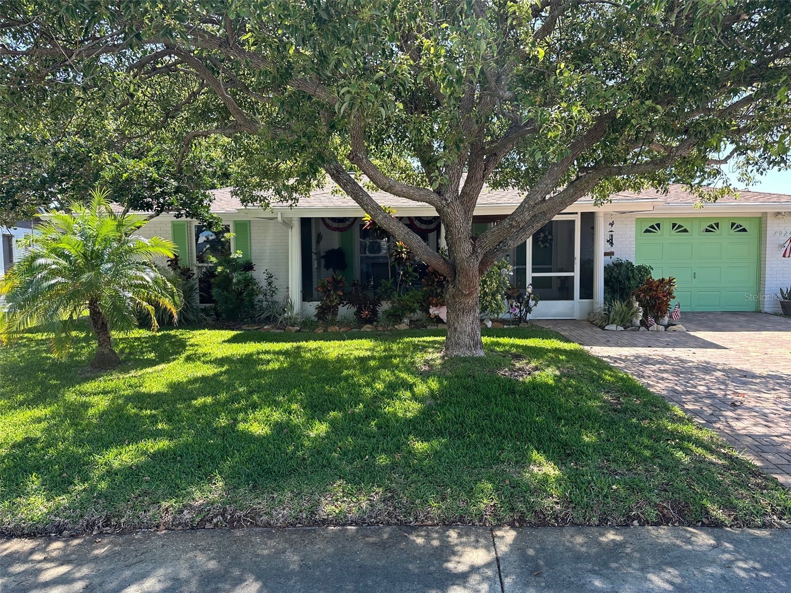 7924 Datura Ln. New Port Richey FL 34653 TB8495488 image1