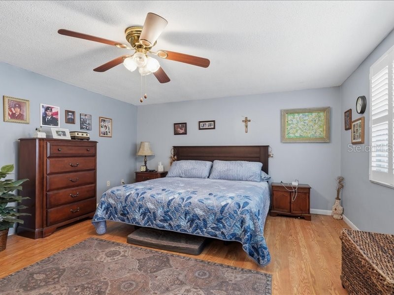 7924 Datura Ln. New Port Richey FL 34653 TB8495488 image20