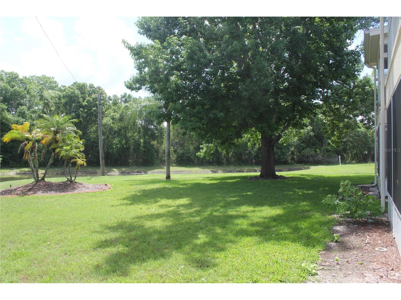 7924 Hardwick Drive #617 New Port Richey FL 34653 TB8513422 image35