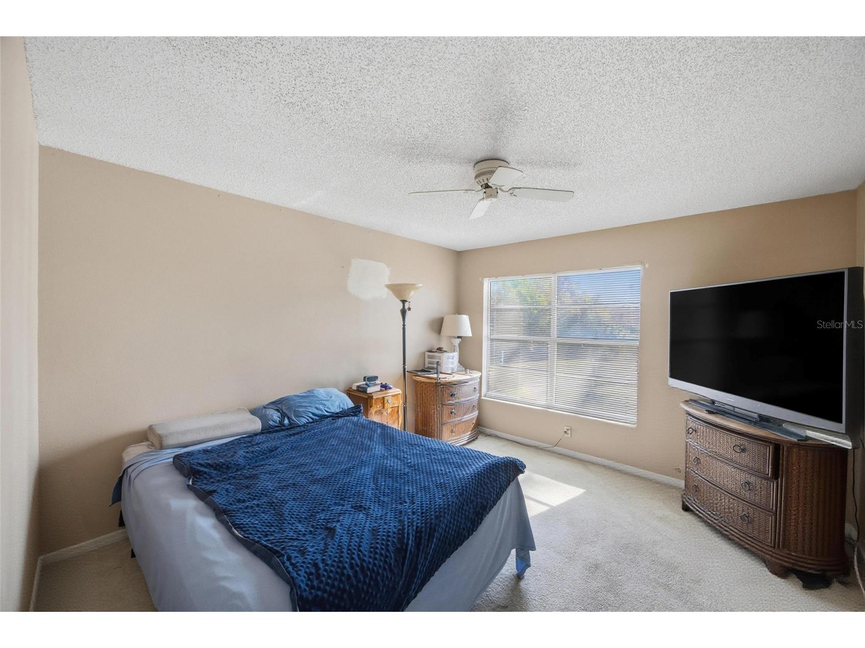 7924 Hardwick Drive #623 New Port Richey FL 34653 TB8465682 image7