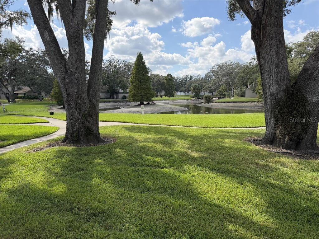 7925 Pine Drive #33 Temple Terrace FL 33637 TB8441219 image20