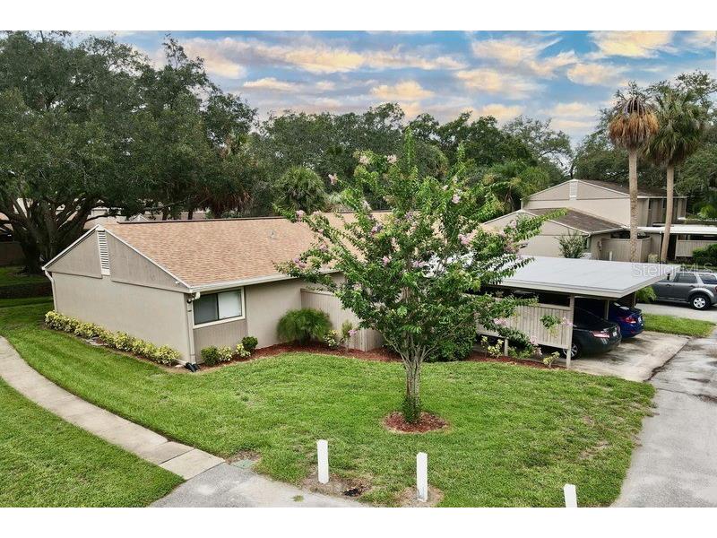 7925 Sabal Drive Temple Terrace FL 33637 W7855986 image1