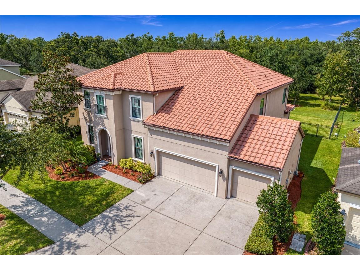 7927 Hampton Lake Drive Tampa FL 33647 T3453728 image1