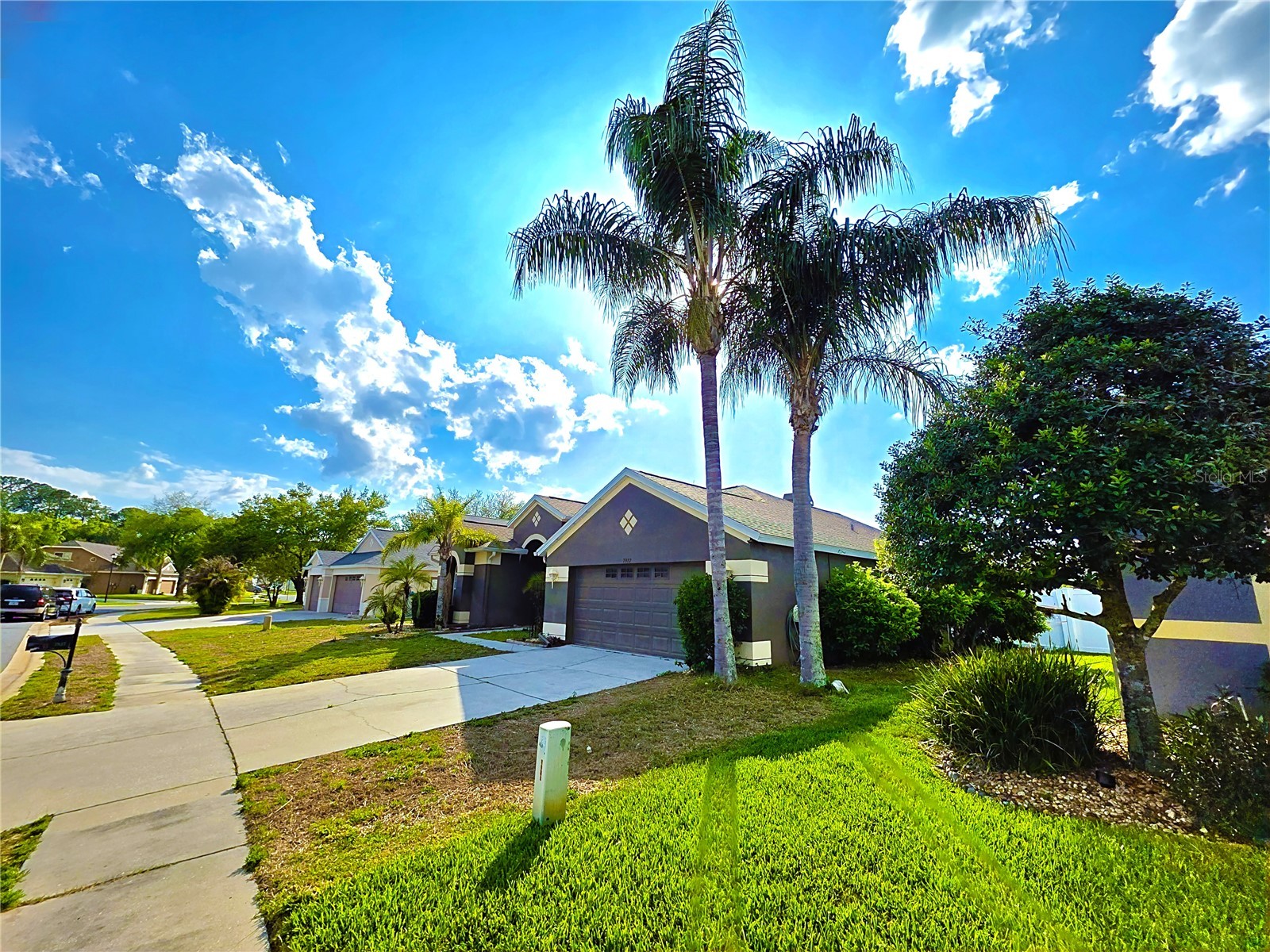 7927 Roundelay Drive New Port Richey FL 34654 TB8493202 image3