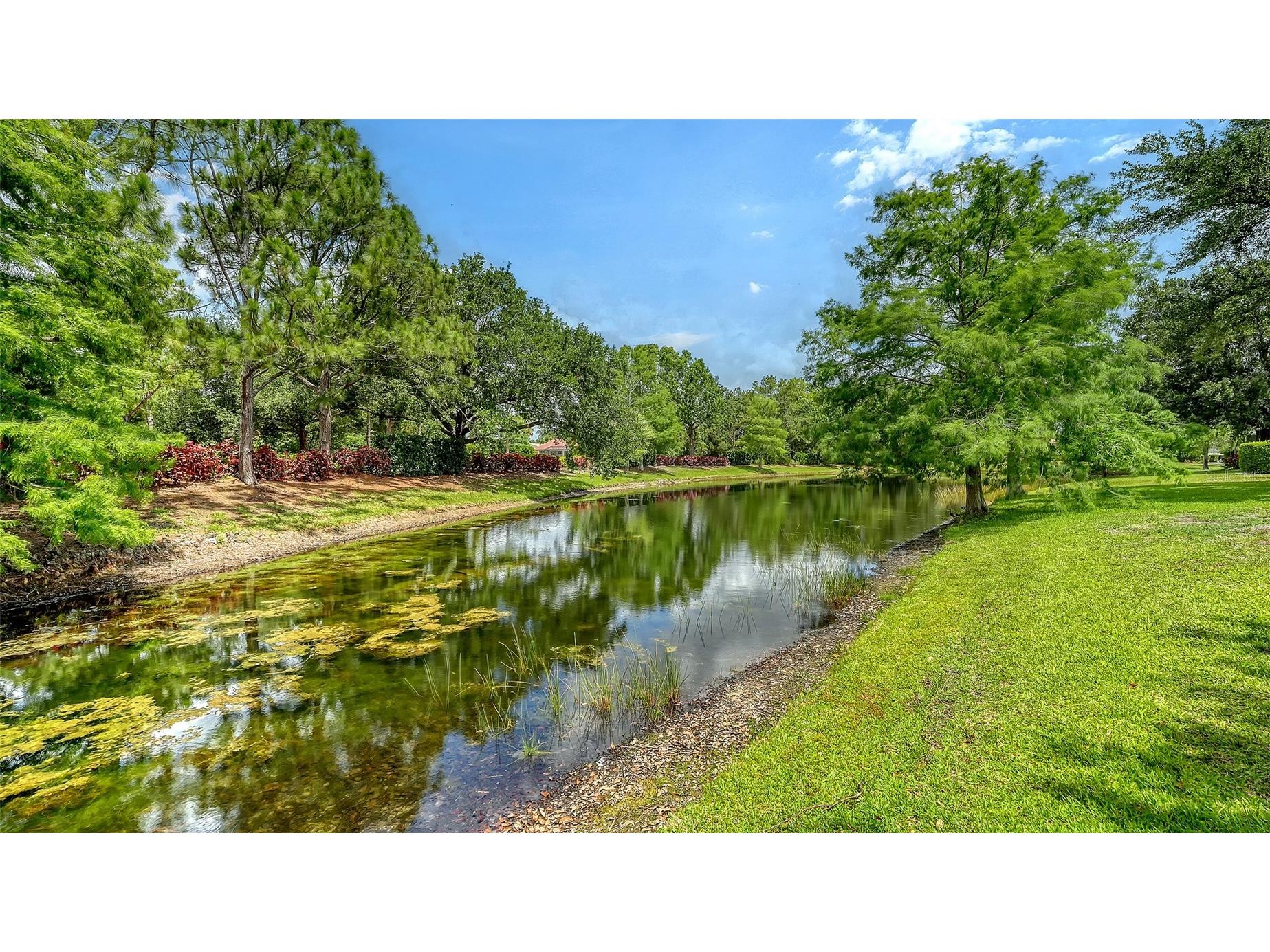 7928 Suntree Glen Bradenton FL 34202 A4694294 image54