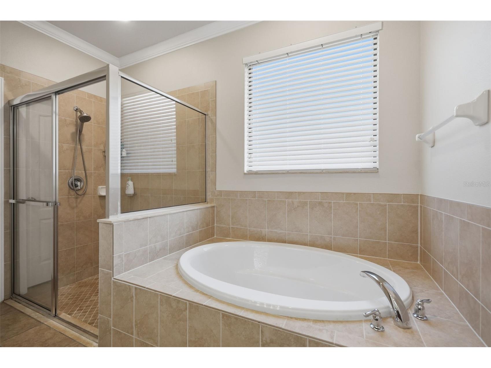 7929 Hampton Lake Drive Tampa FL 33647 TB8527514 image16