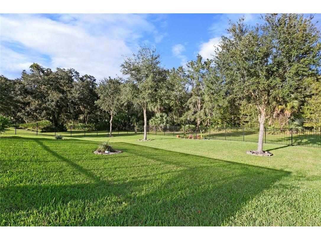 7929 Hampton Lake Drive Tampa FL 33647 TB8527514 image23