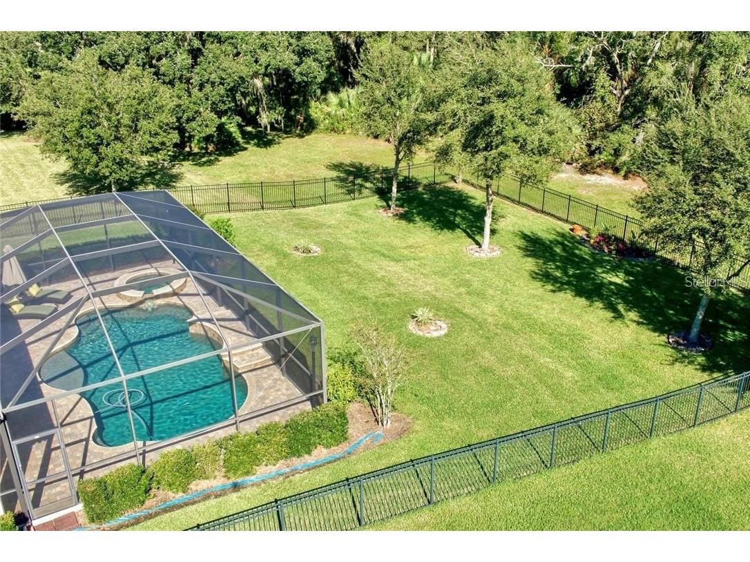 7929 Hampton Lake Drive Tampa FL 33647 TB8527514 image3