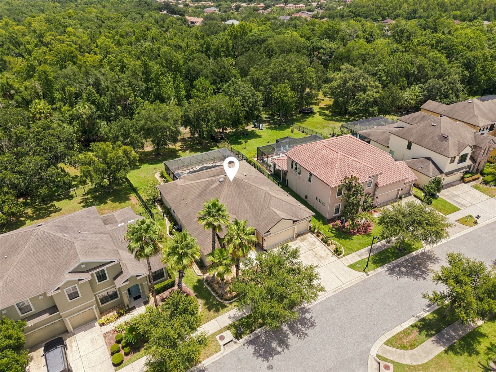 7929 Hampton Lake Drive Tampa FL 33647 TB8527514 image36