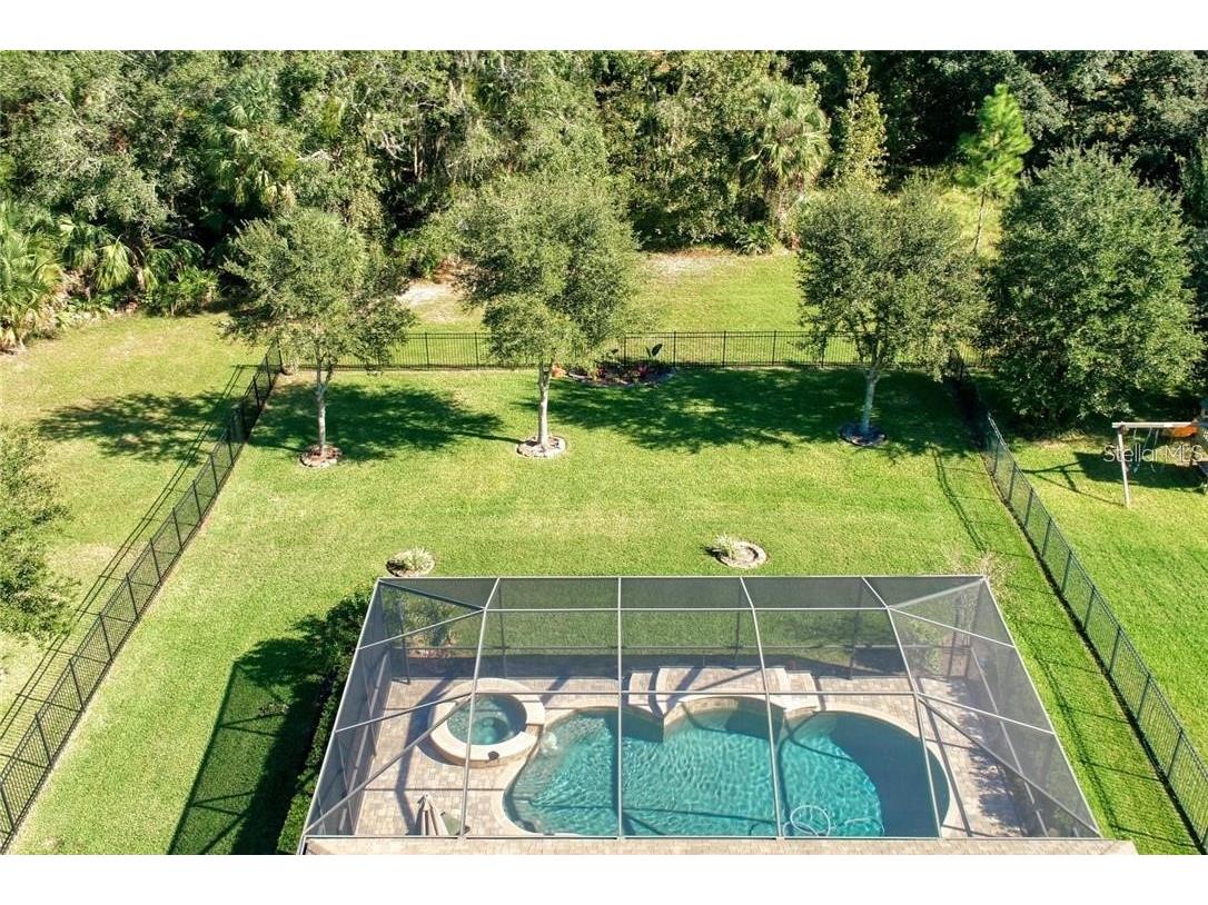 7929 Hampton Lake Drive Tampa FL 33647 TB8527514 image4
