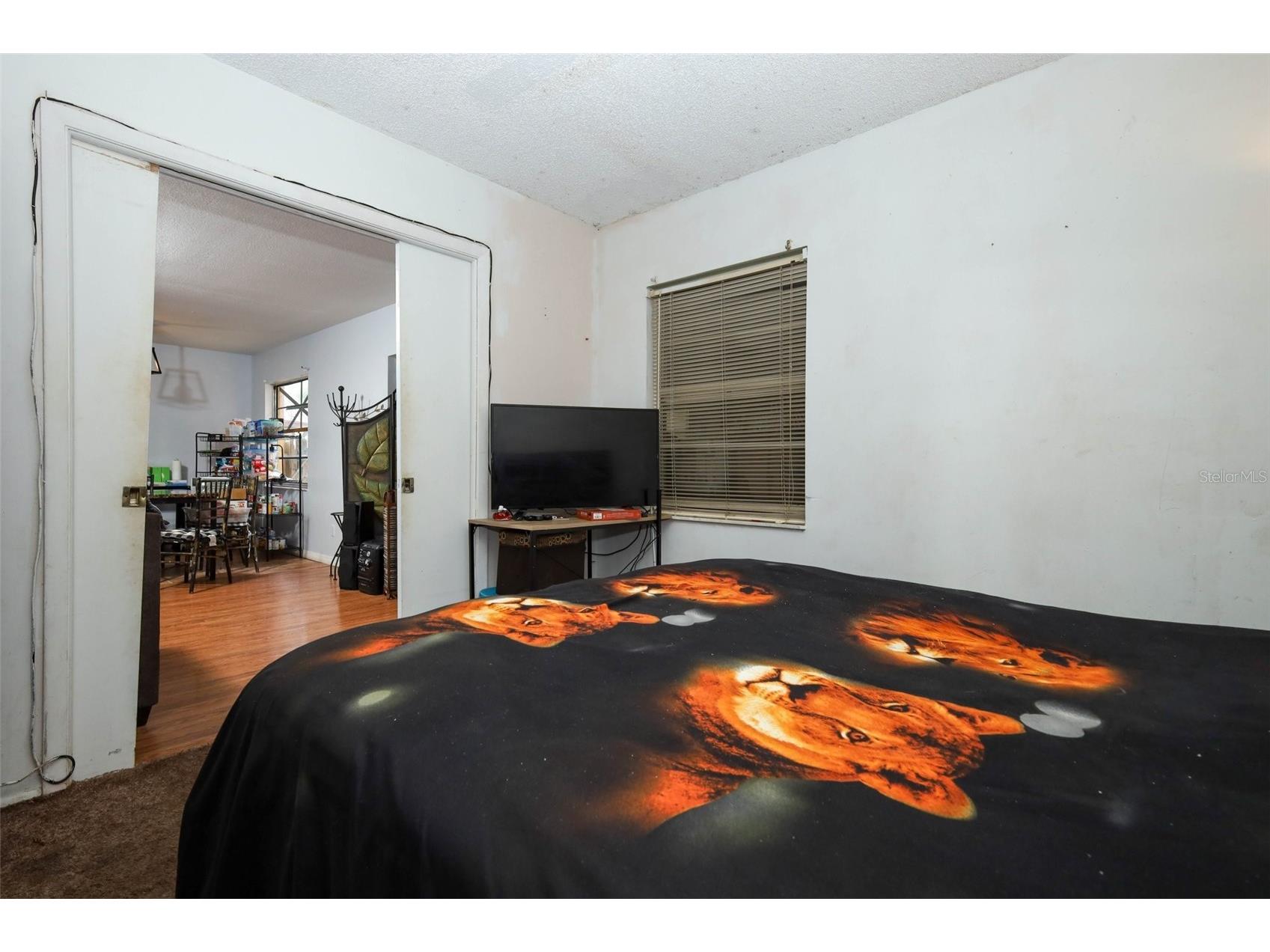 7929 Toler Court Orlando FL 32822 O6412542 image14