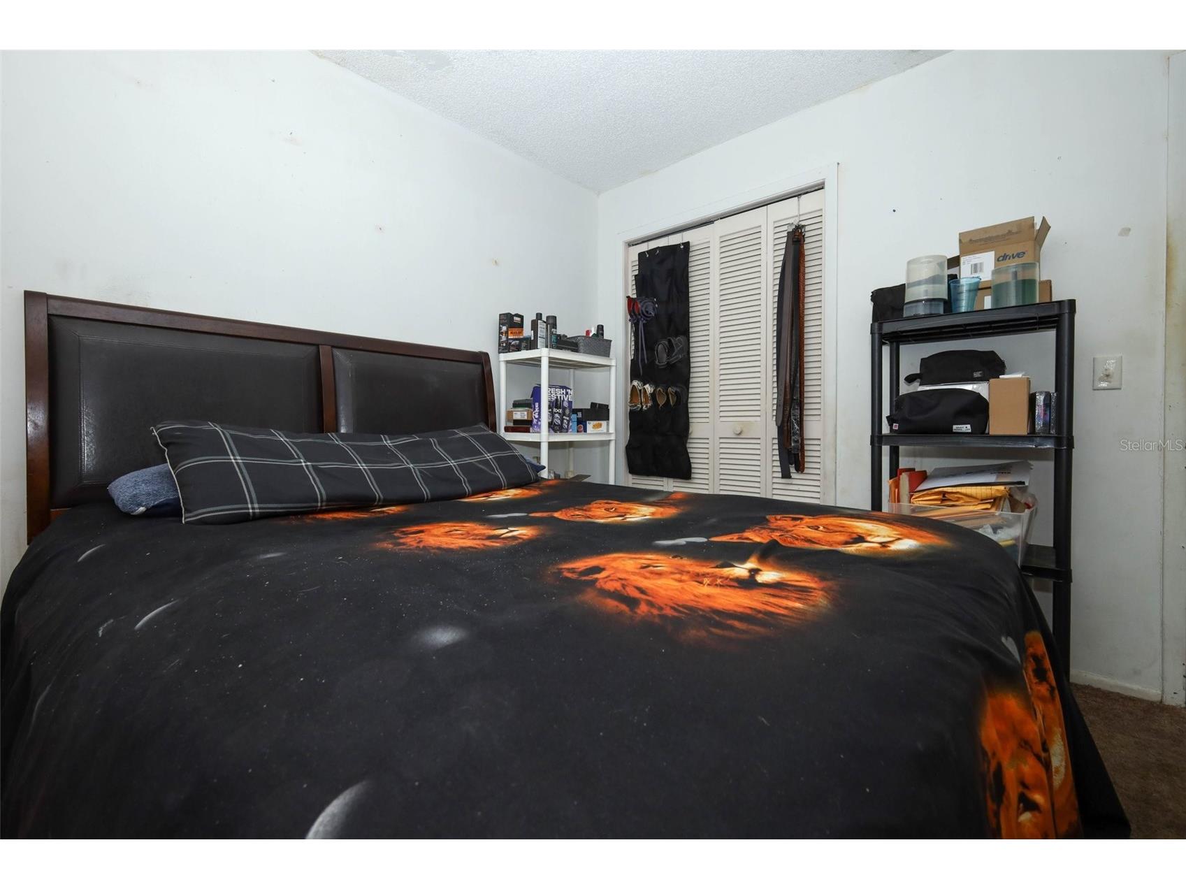 7929 Toler Court Orlando FL 32822 O6412542 image15