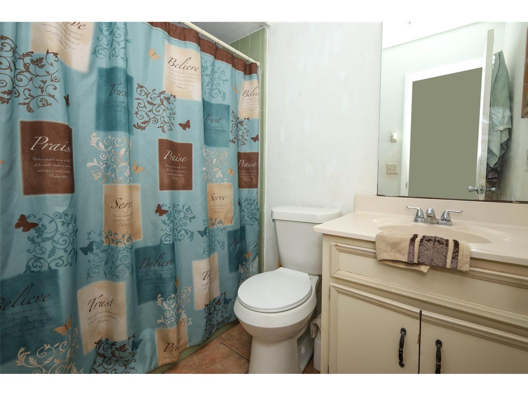 7929 Toler Court Orlando FL 32822 O6412542 image21