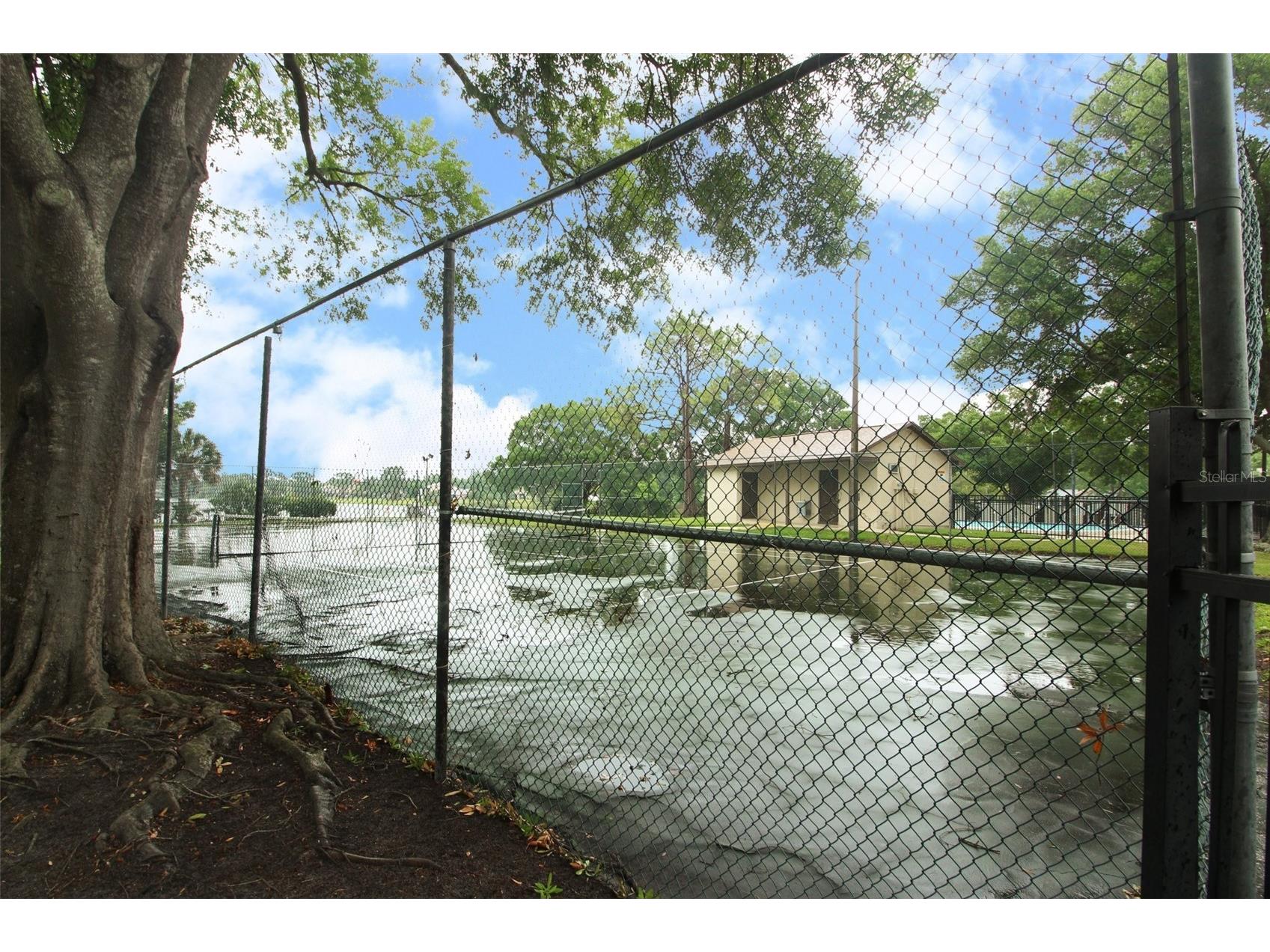 7929 Toler Court Orlando FL 32822 O6412542 image31