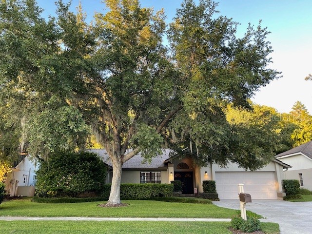 793 Centerwood Drive Tarpon Springs FL 34688 U8246000 image1