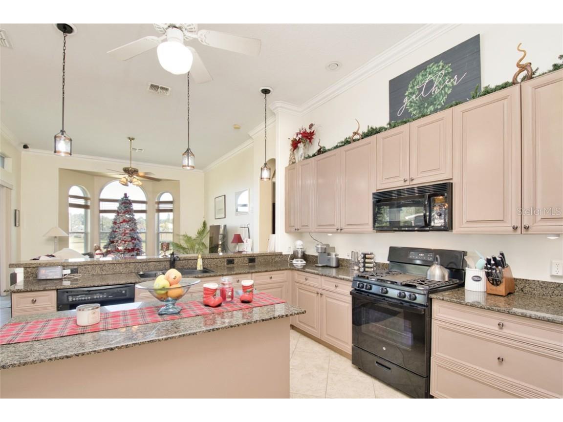 793 Hawks Bluff Clermont FL 34711 G5105287 image14