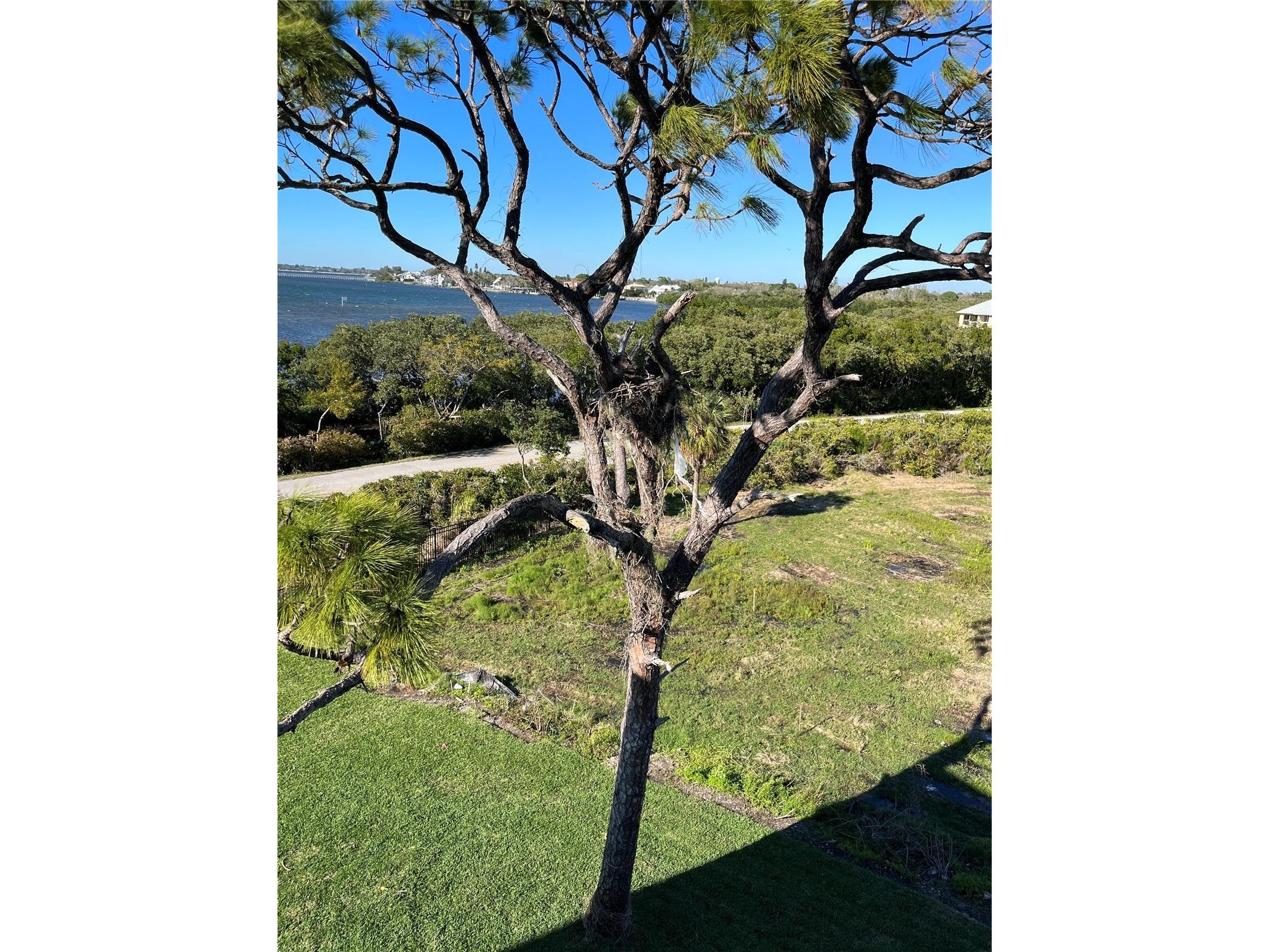 7930 34th Avenue W #303 Bradenton FL 34209 A4695044 image11