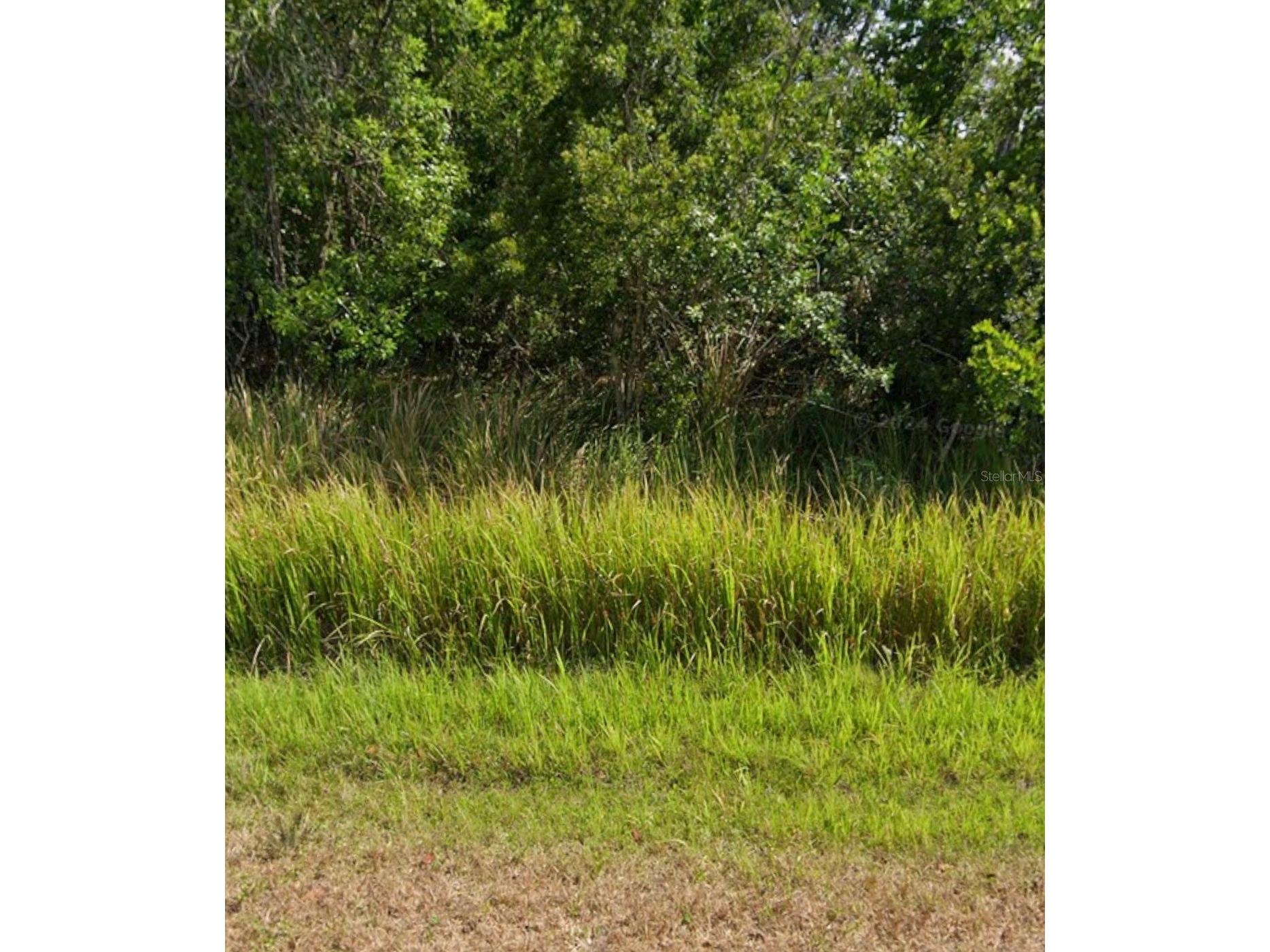 7930 Maggiore Street Sebring FL 33872 A4696436 image4