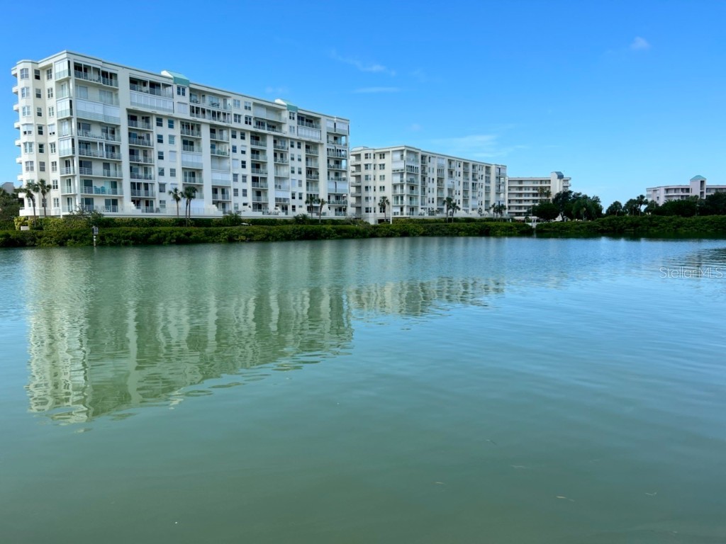 7930 Sun Island Drive S #302 South Pasadena FL 33707 U8194613 image1