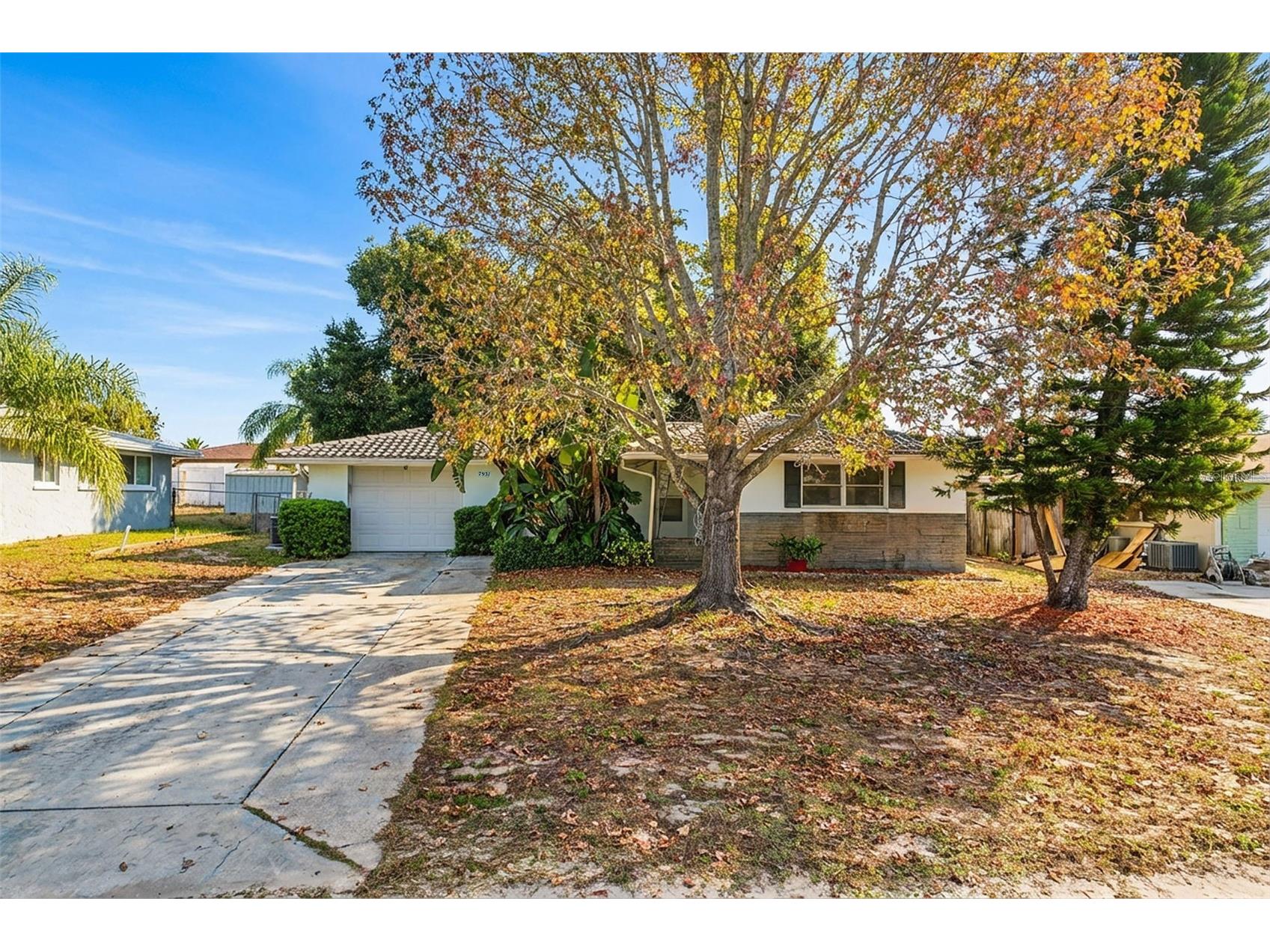 7931 Lotus Drive Port Richey FL 34668 W7881315 image1
