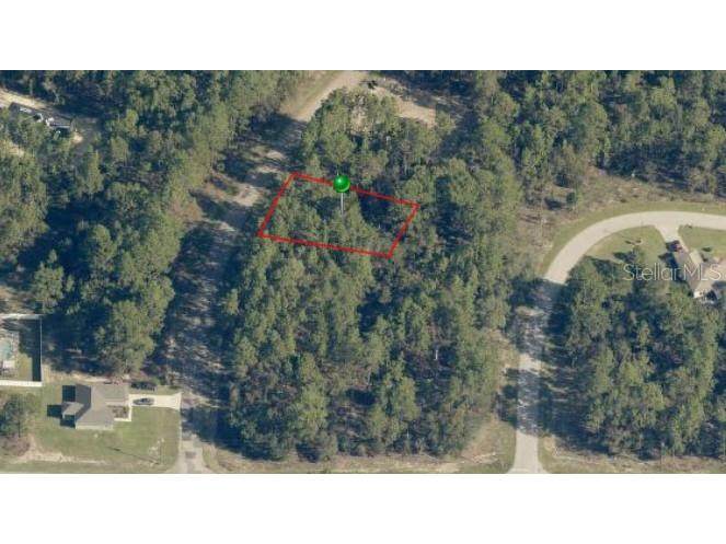 7931 N Janeaux Drive Citrus Springs FL 34434 OM664179 image1