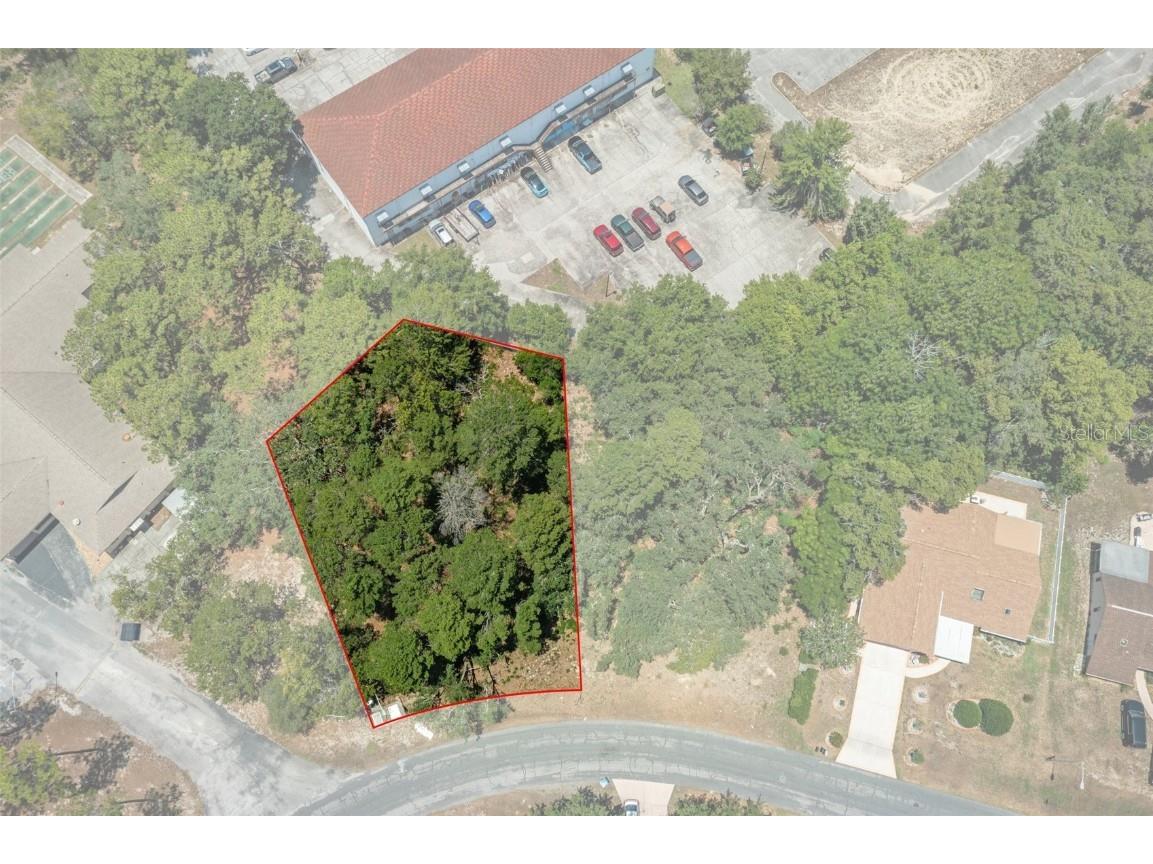 7931 Rhanbuoy Road Spring Hill FL 34606 W7865527 image1