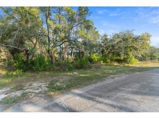 7931 Rhanbuoy Road Spring Hill FL 34606 TB8444851 image12