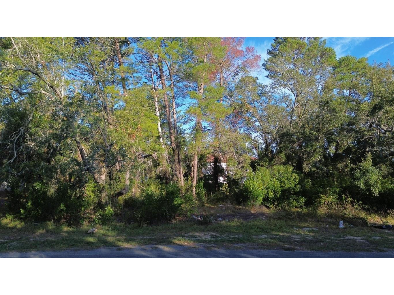 7931 Rhanbuoy Road Spring Hill FL 34606 TB8444851 image2