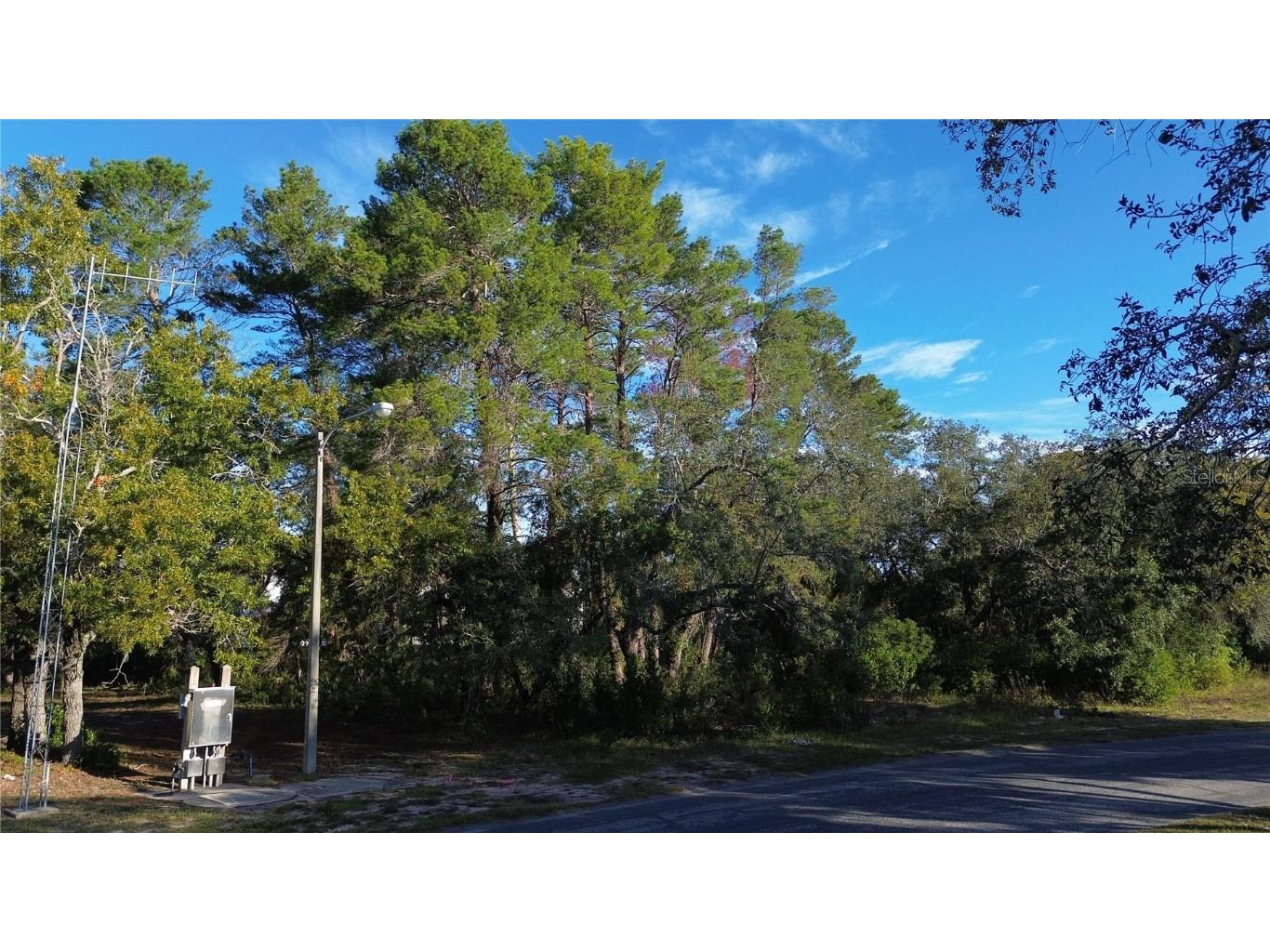 7931 Rhanbuoy Road Spring Hill FL 34606 TB8444851 image3